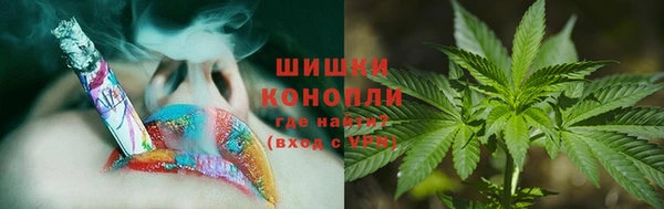 PSILOCYBIN Беломорск